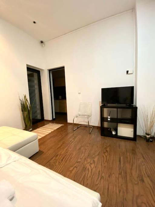 Harmony Homes- Piata Unirii Central Apartament Timişoara Eksteriør bilde