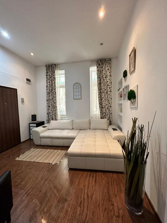 Harmony Homes- Piata Unirii Central Apartament Timişoara Eksteriør bilde